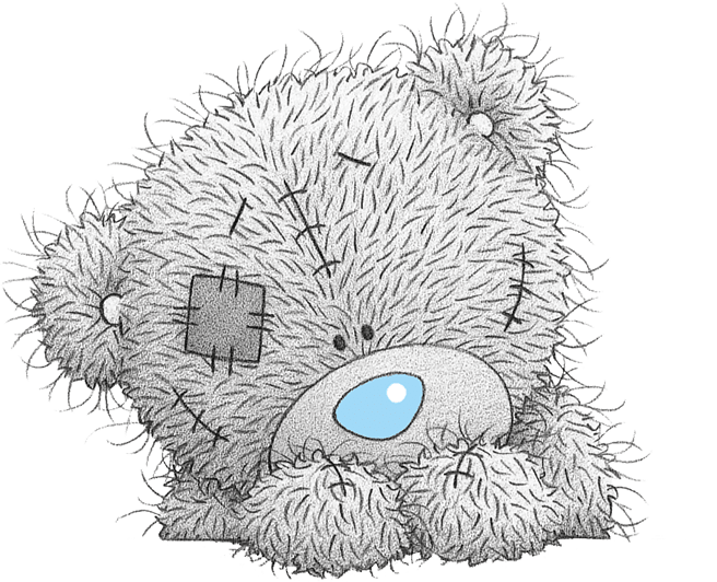 teddy